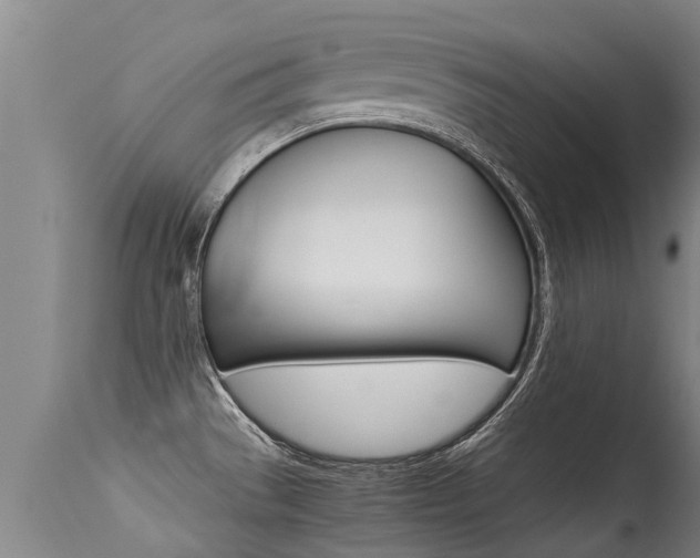 X0000115581529200911100943