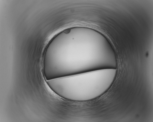 X0000115581531200911100943