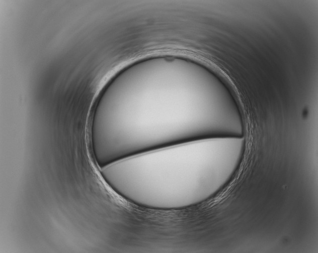X0000115581533200911100943