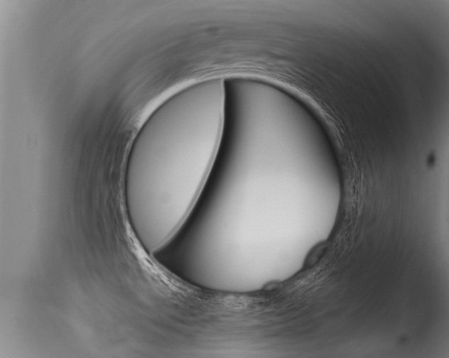 X0000115581534200911100943