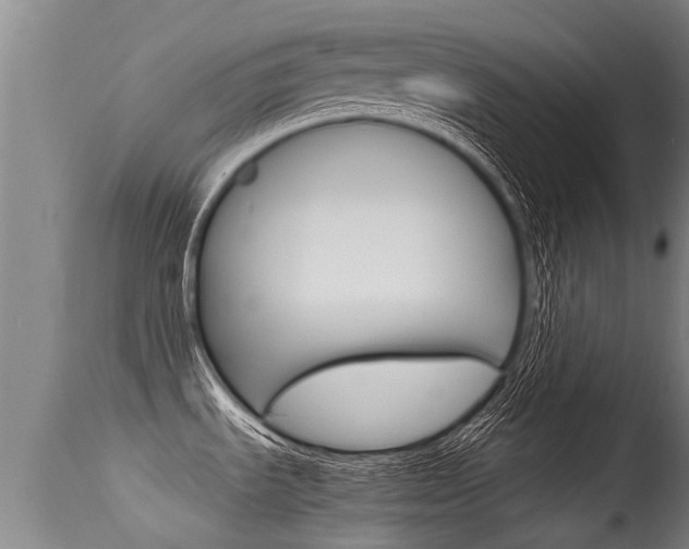 X0000115581535200911100943