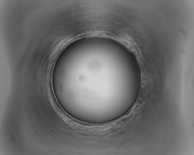 X0000115580001200911101158