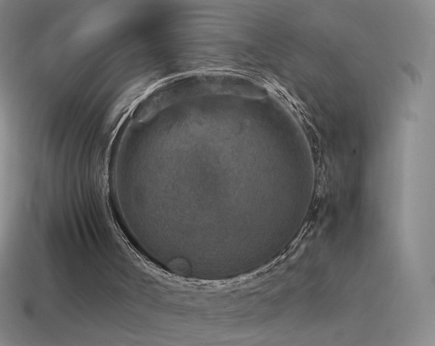 X0000115580002200911101158