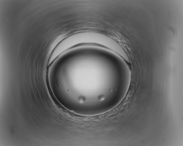 X0000115580003200911101158