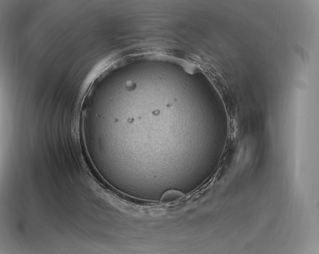 X0000115580004200911101158