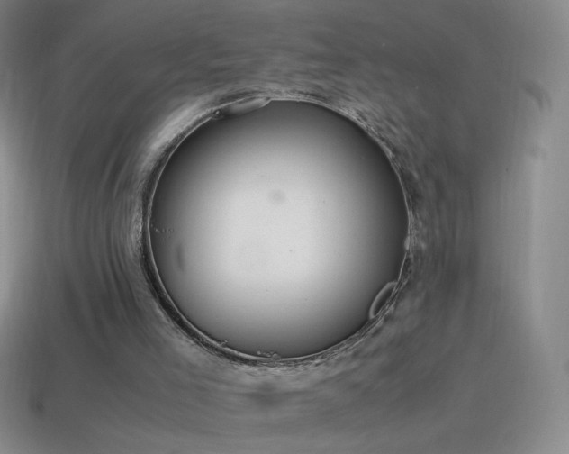 X0000115580005200911101158