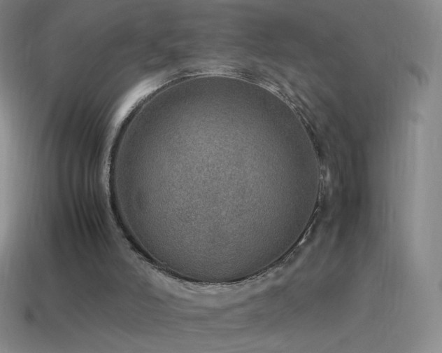 X0000115580006200911101158