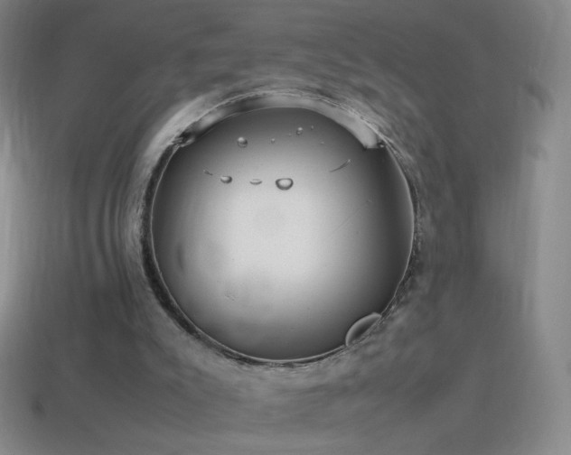 X0000115580007200911101158