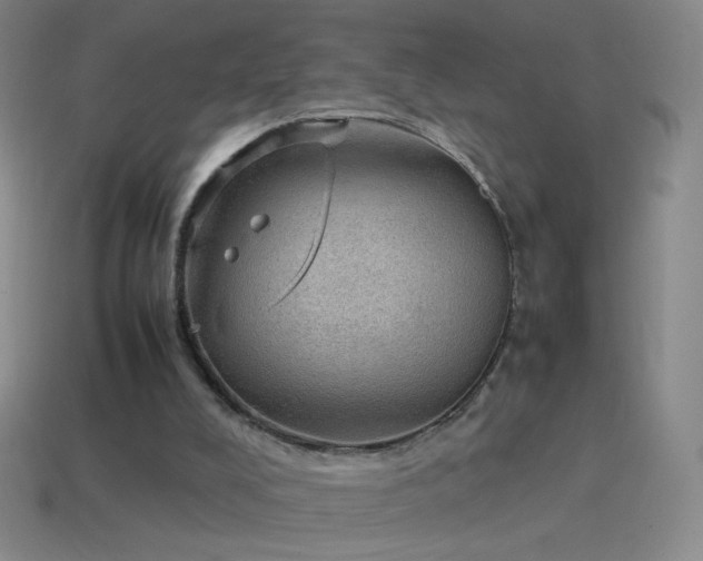 X0000115580008200911101158