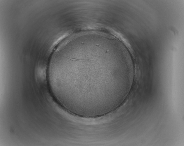 X0000115580010200911101158