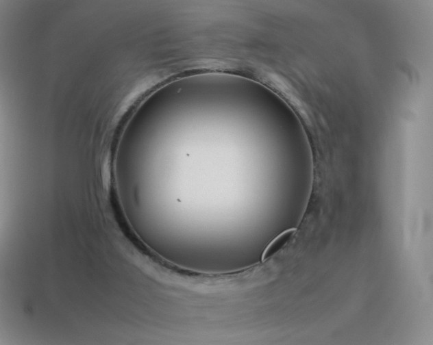 X0000115580011200911101158