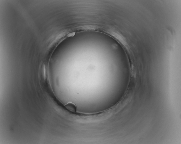 X0000115580013200911101158