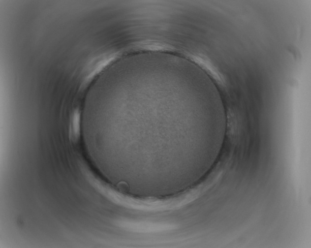 X0000115580014200911101158