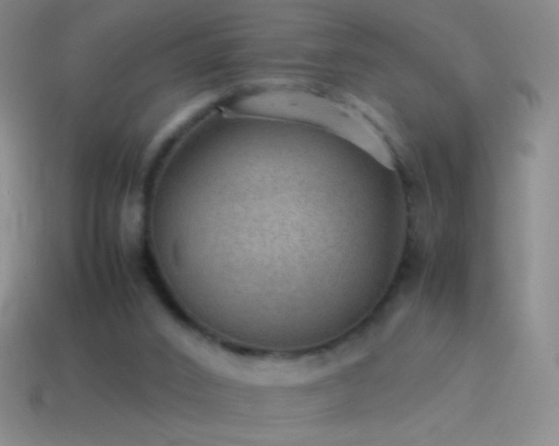 X0000115580016200911101158