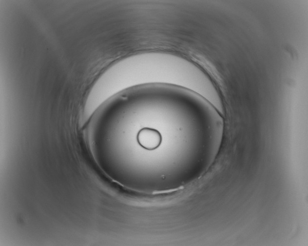 X0000115580017200911101158