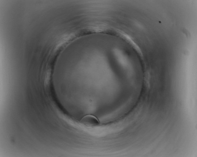 X0000115580018200911101158