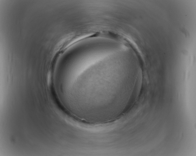 X0000115580019200911101158