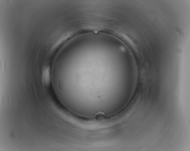 X0000115580020200911101158