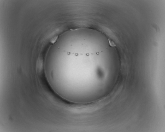 X0000115580021200911101158