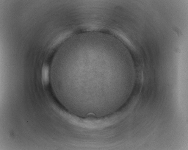 X0000115580022200911101158