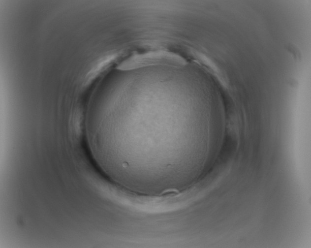 X0000115580023200911101158