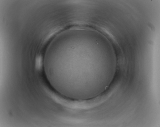 X0000115580024200911101158