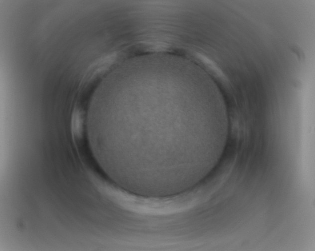 X0000115580026200911101158