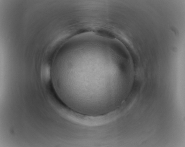 X0000115580027200911101158