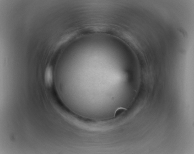 X0000115580028200911101158