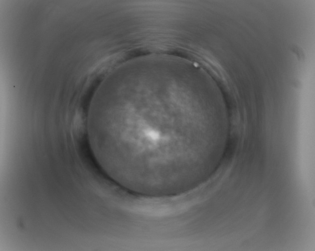 X0000115580029200911101158