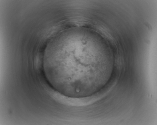 X0000115580030200911101158