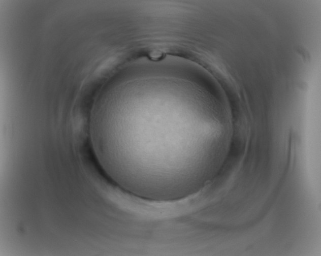 X0000115580031200911101158