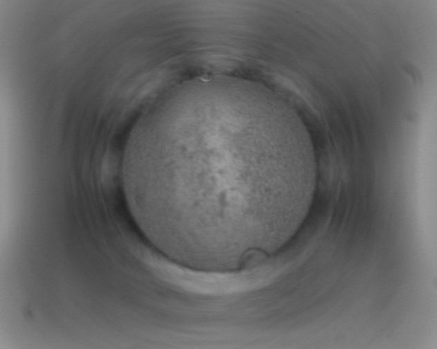 X0000115580034200911101158