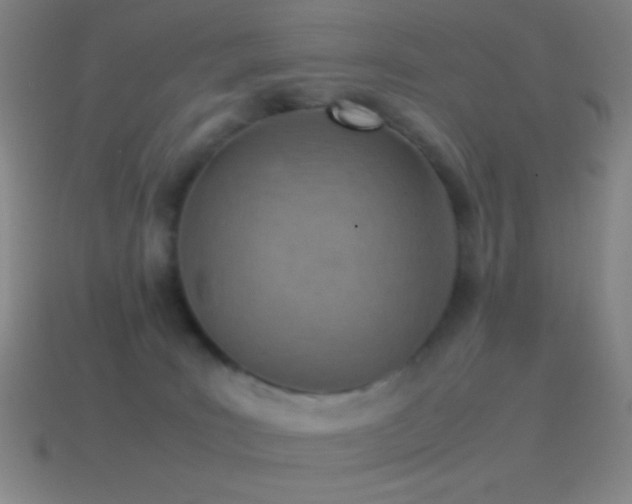 X0000115580035200911101158