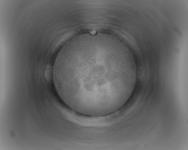 X0000115580036200911101158