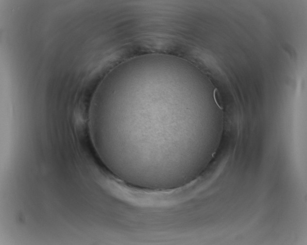 X0000115580040200911101158