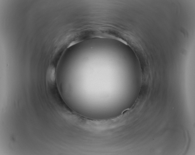 X0000115580041200911101158