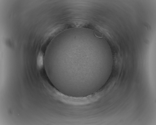 X0000115580042200911101158