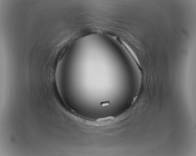 X0000115580043200911101158