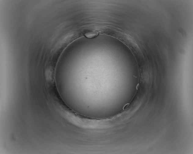 X0000115580044200911101158