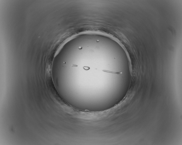 X0000115580045200911101158