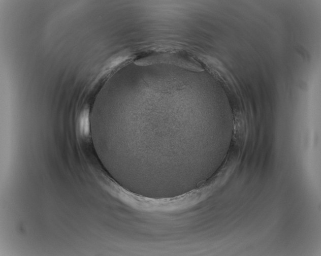 X0000115580046200911101158