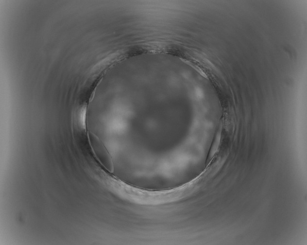 X0000115580047200911101157