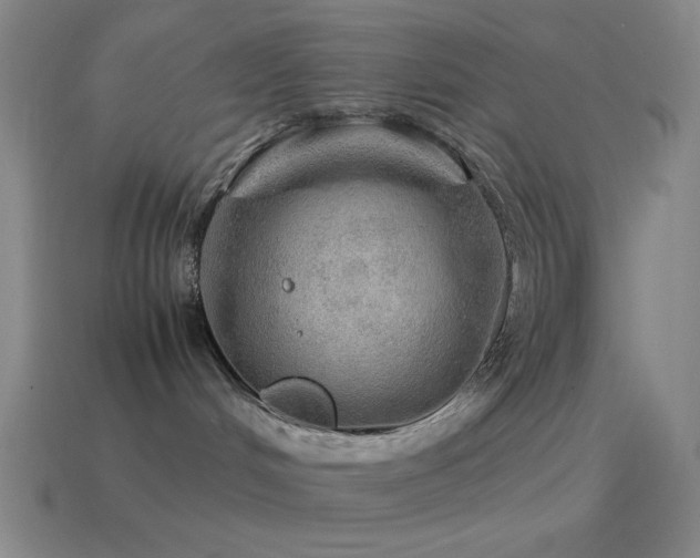 X0000115580048200911101157