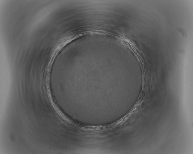 X0000115580049200911101157