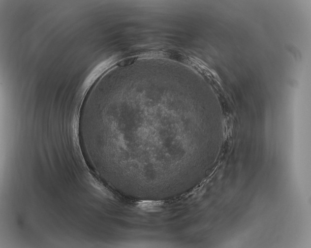 X0000115580051200911101157