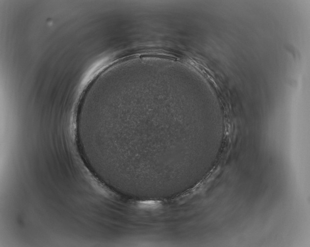 X0000115580053200911101157