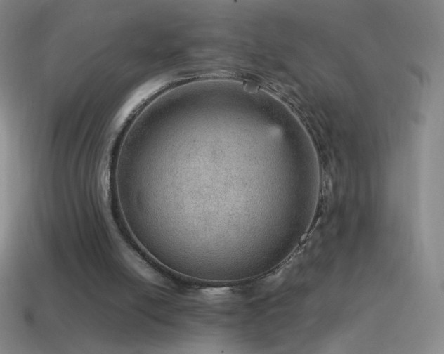 X0000115580054200911101157