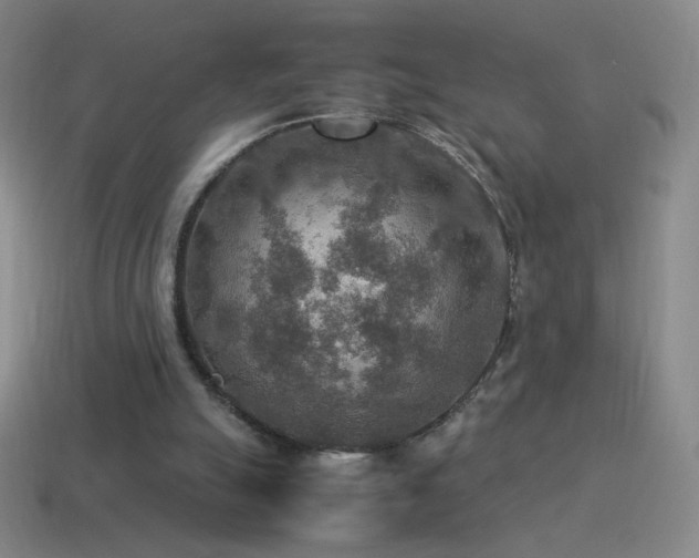 X0000115580055200911101157