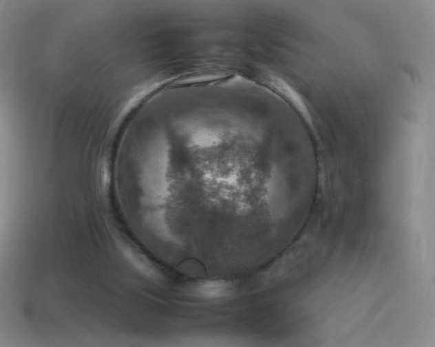 X0000115580059200911101157